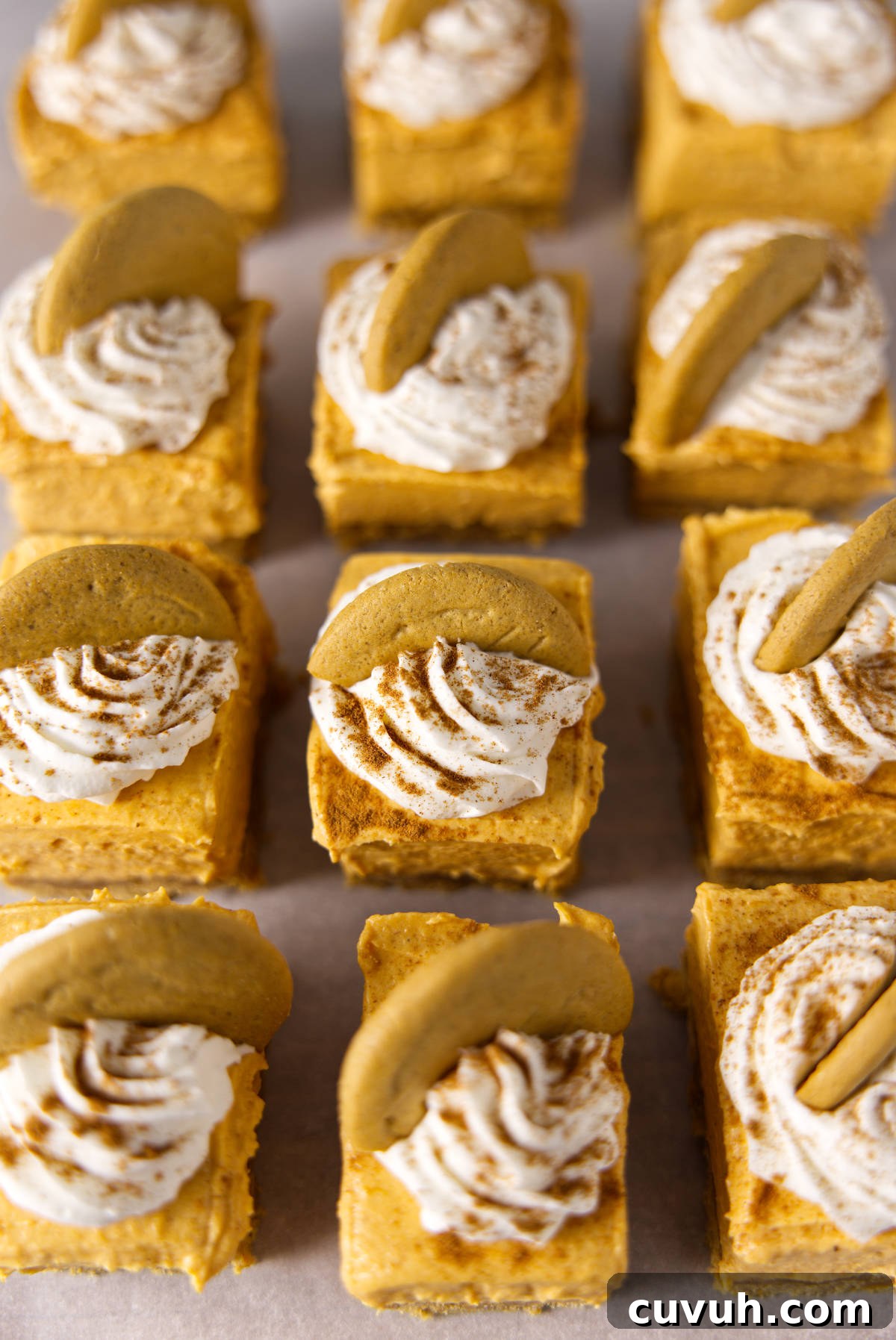 Several pumpkin cheesecake bars sliced and laid out on parchment paper in a grid.