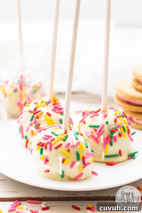Gluten-Free Birthday Cake Cookie Pops: Fun Party Treats 2 Birthday Cake Gluten Free Cookie Pops