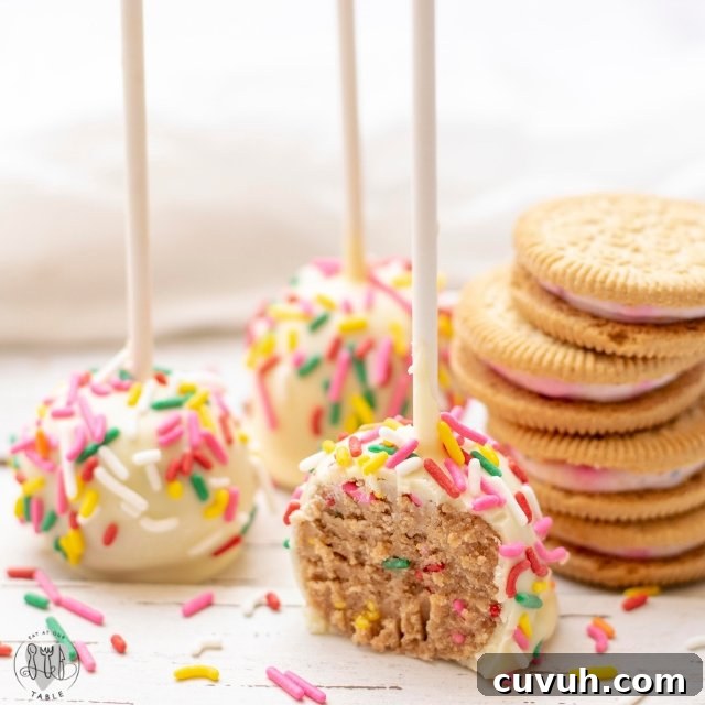 Gluten-Free Birthday Cake Cookie Pops: Fun Party Treats 4 img 5267 3
