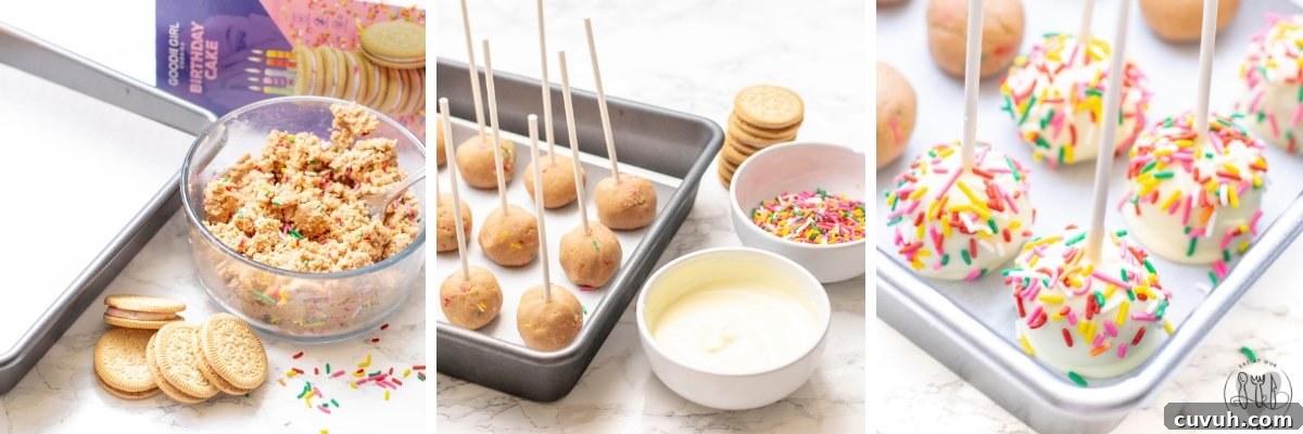 Gluten-Free Birthday Cake Cookie Pops: Fun Party Treats 5 img 5267 4
