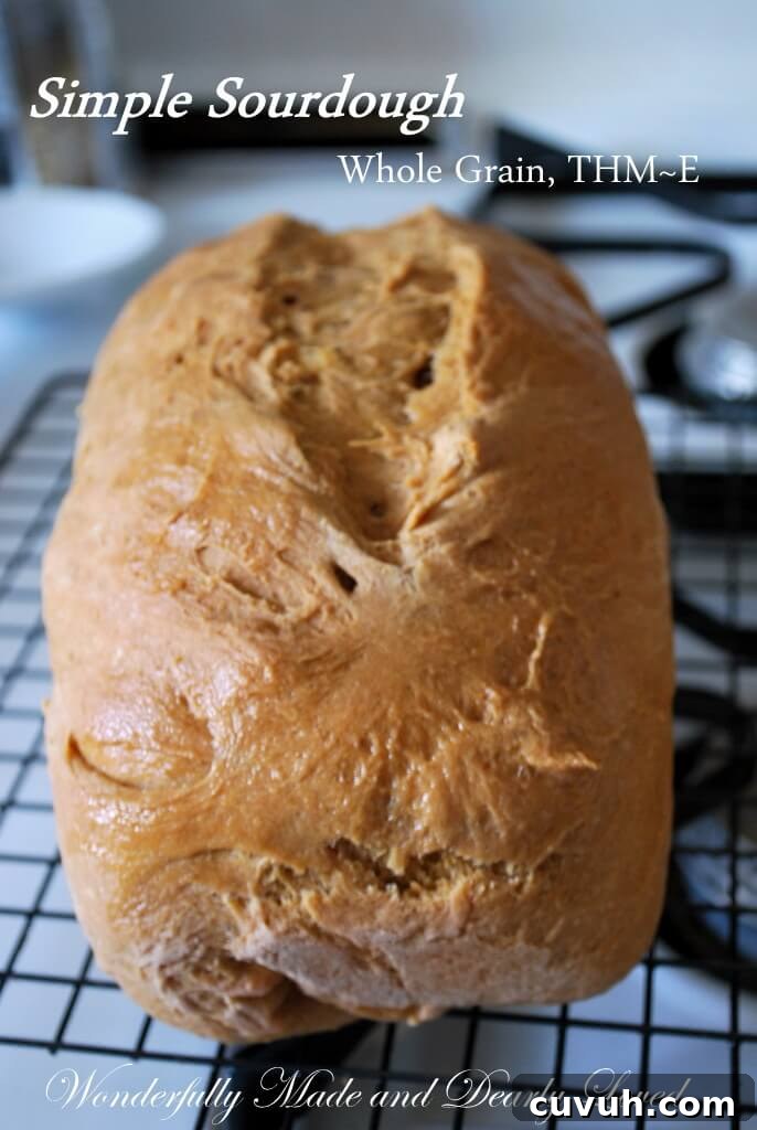 Simple Sourdough