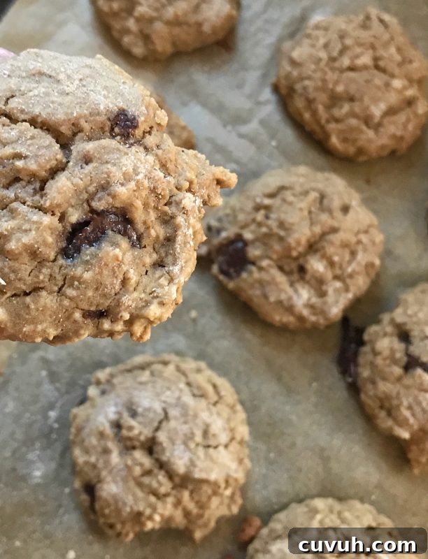 Red Lentil Snack Cookies via LizsHealthyTable.com 