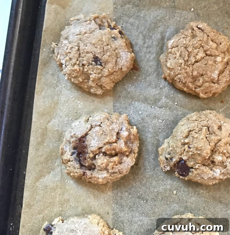Red Lentil Snack Cookies via LizsHealthyTable.com 