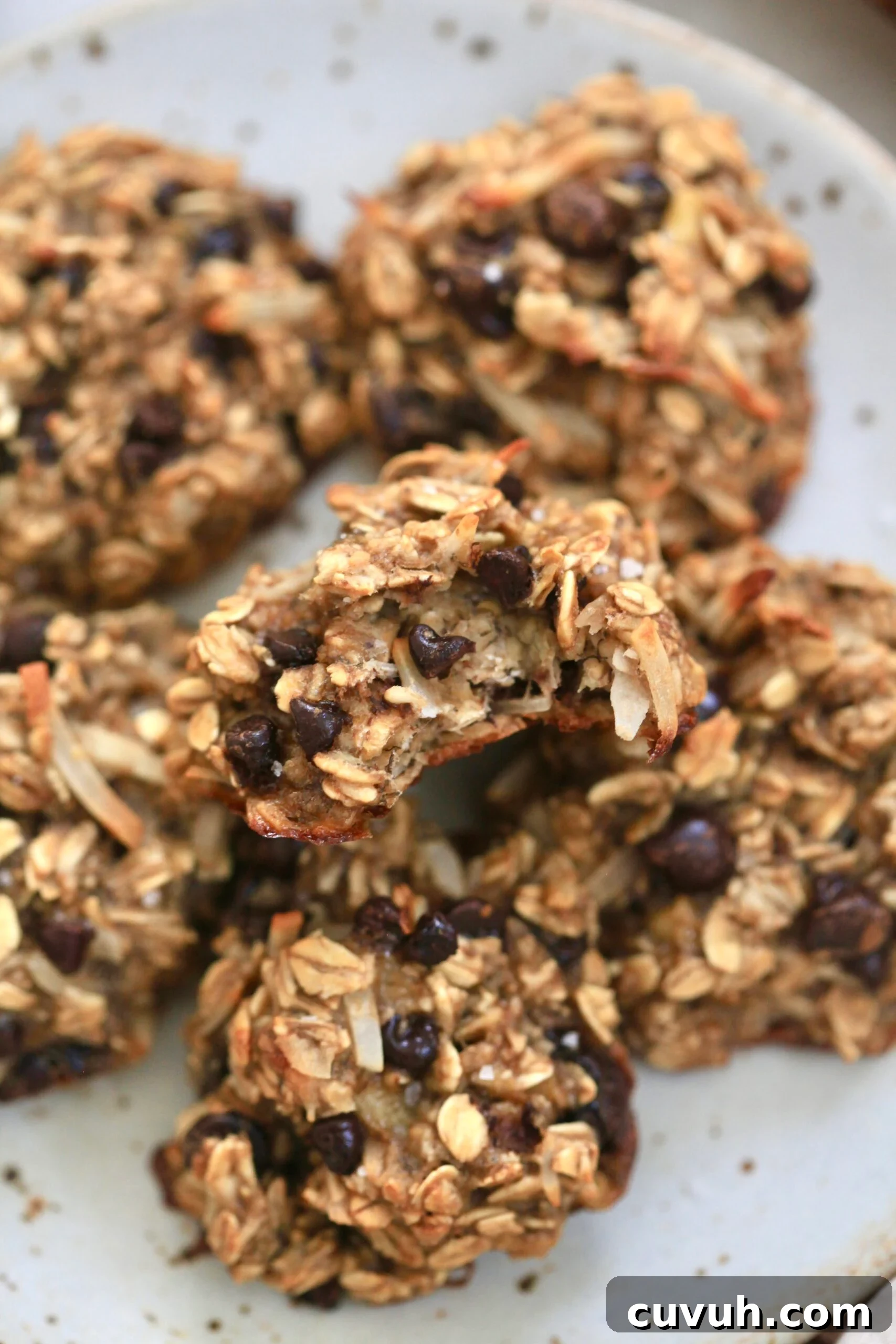 Banana Oatmeal Breakfast Cookies for Quick Morning Fuel 3 oatmeal cookies on plate with bite taken out