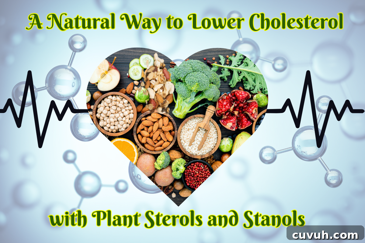 Lower Your Cholesterol Naturally with Plant Sterols and Stanols 2 Heart-shaped arrangement of fruits, vegetables, and nuts with text promoting plant sterols and stanols for lowering cholesterol, set against a background of molecular structures and a heartbeat line.
