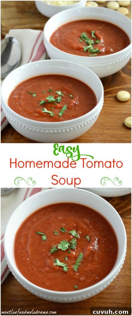 how to make easy homemade tomato soup