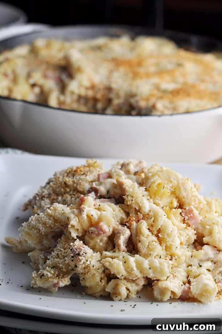 Closeup of pasta dish on plate with pan in the background