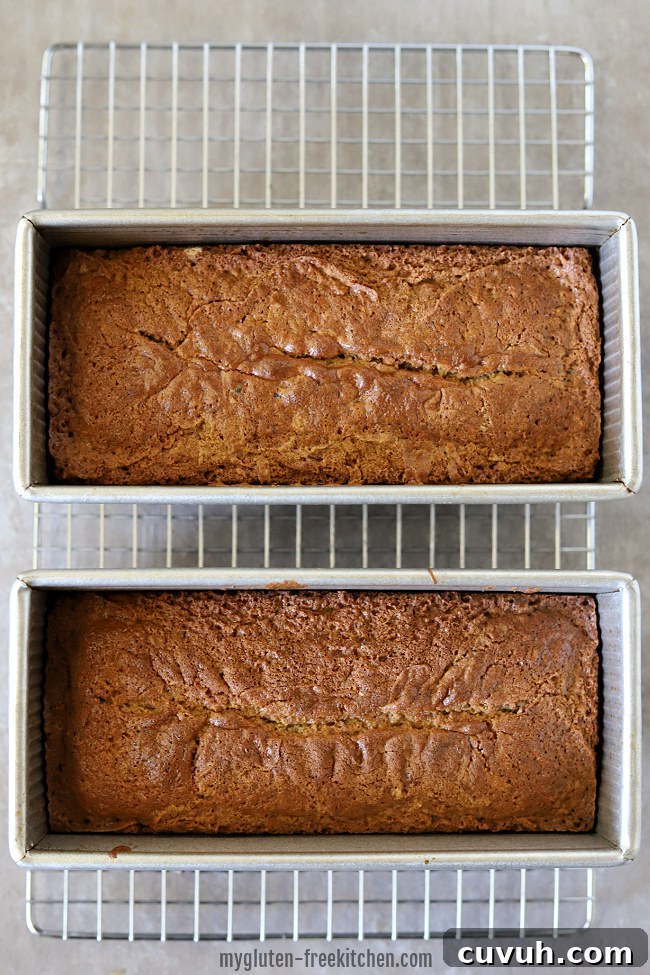 2 loaves of gluten-free zucchini bread in pans