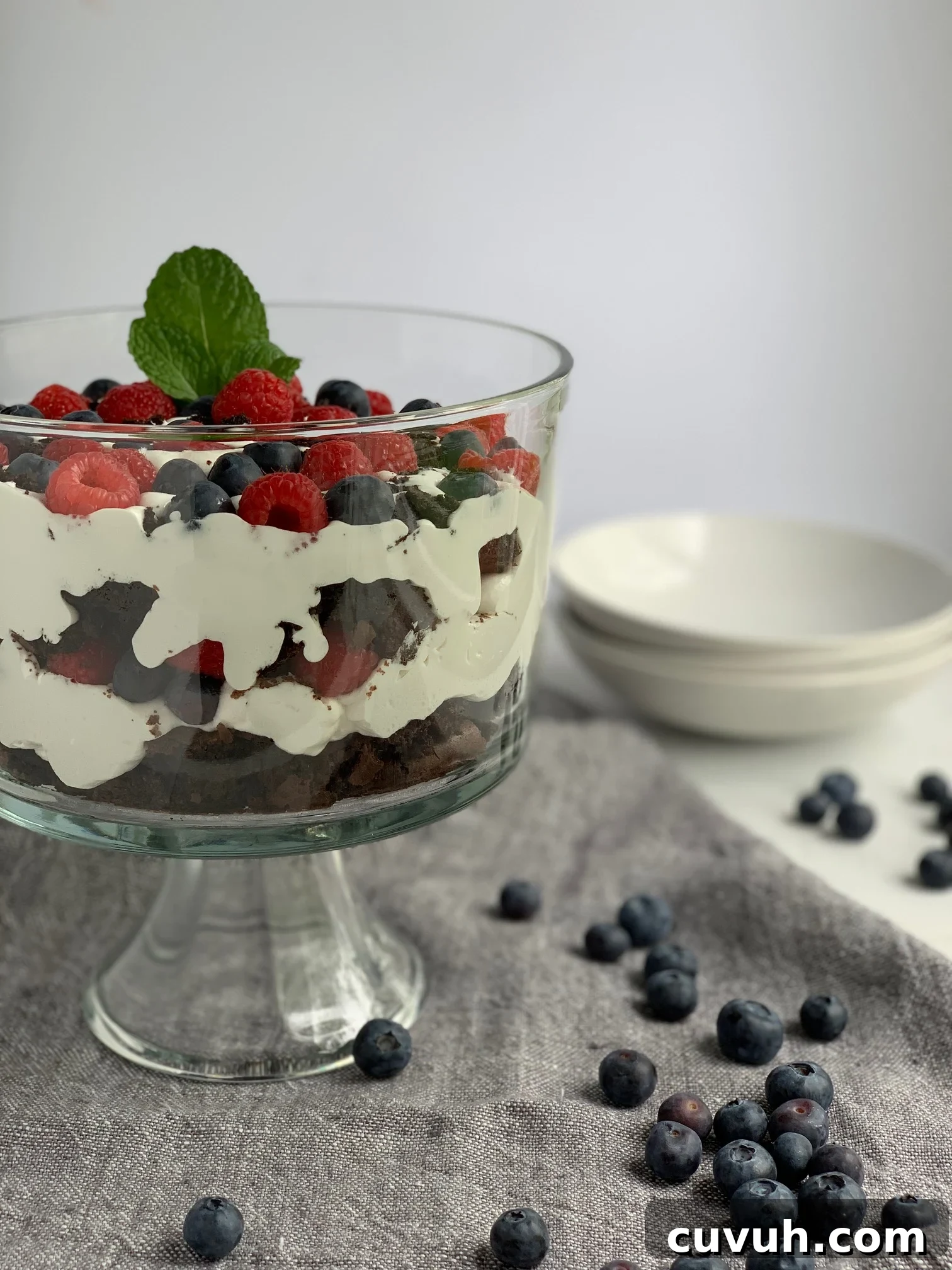 Patriotic 4th of July Desserts to Impress Your Guests 12 brownie, cocoawhip, blueberries, and raspberries layered in a trifle.