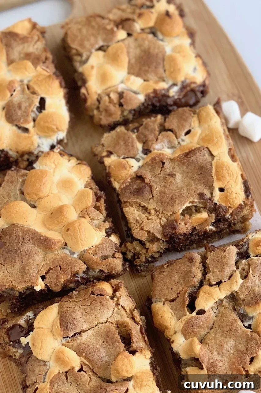 Patriotic 4th of July Desserts to Impress Your Guests 5 Yummy S'more cookie bars with layers of melted chocolate, marshmallow and cookie dough.