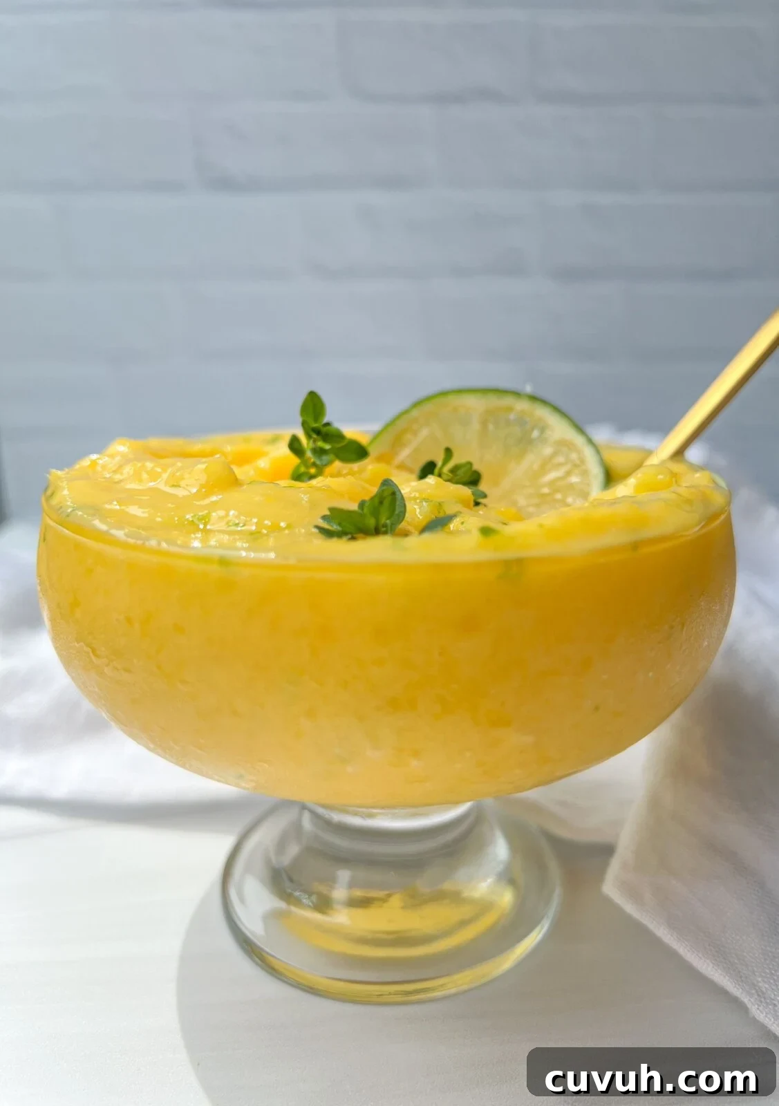 Mango Frozen Yogurt
