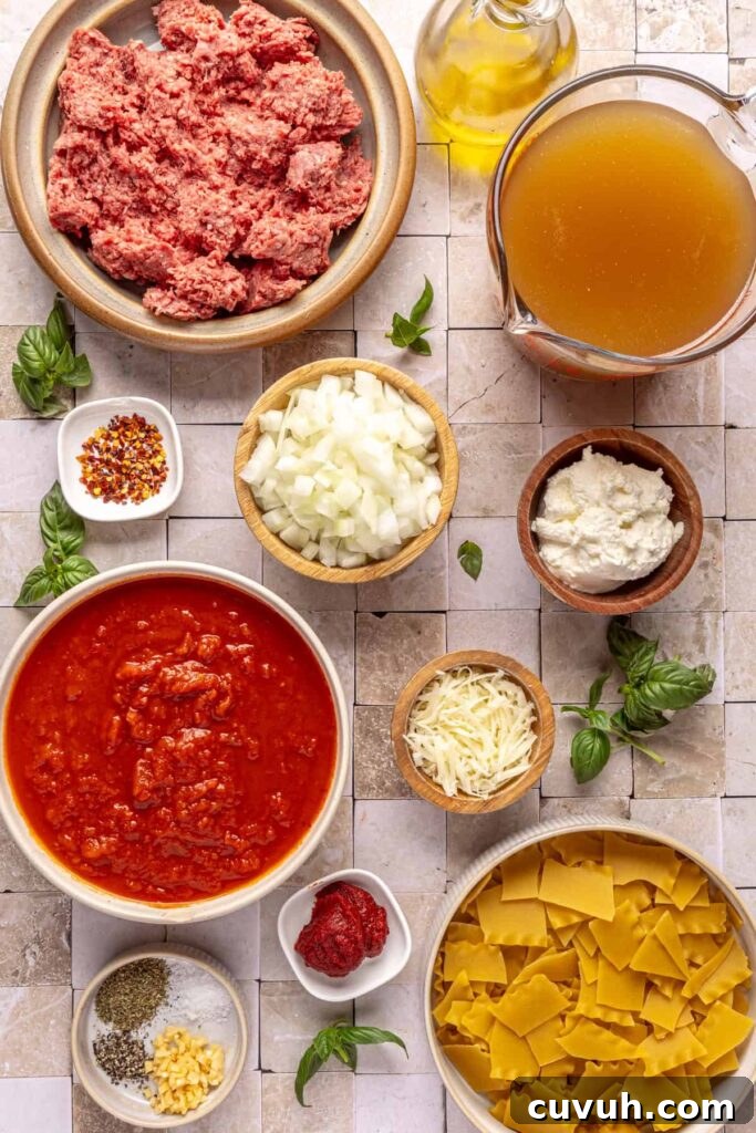 Ingredients for lasagna soup including ground beef, marinara, lasagna noodles, broth, ricotta, and herbs