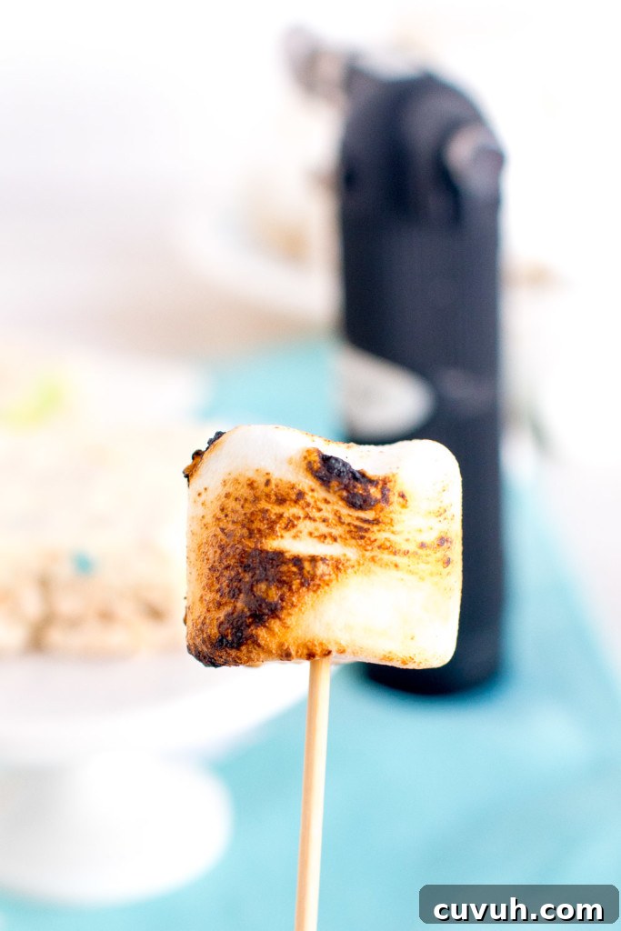 Lucky Charms S'mores Treats: Magic Marshmallow Dessert Recipe 18 toasted marshmallow