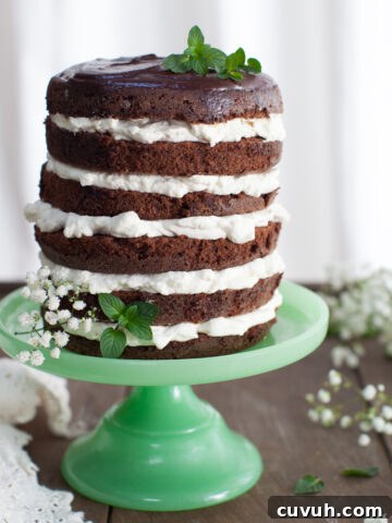 Mint Chocolate Cake