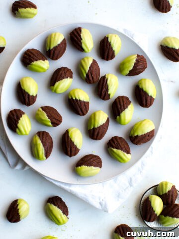 Mint Chocolate Matcha Mini Madeleines