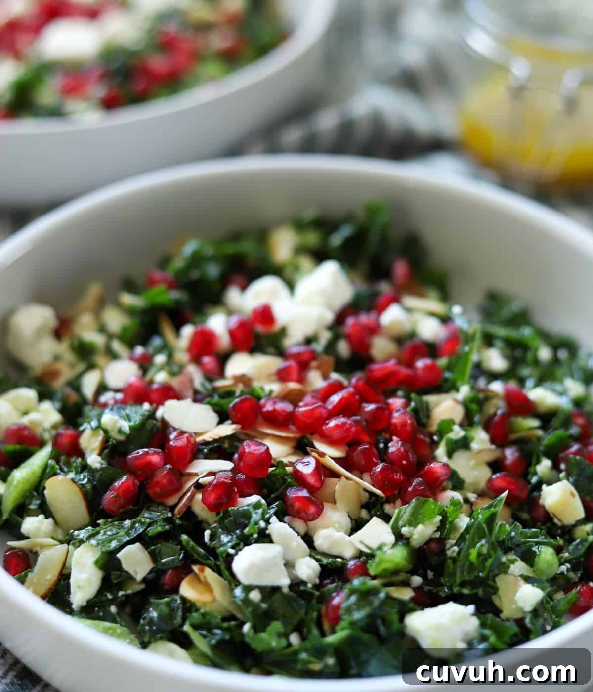 Winter Kale and Pomegranate Salad with Citrus Vinaigrette 2 close up of kale salad topped with pomegranate seeds