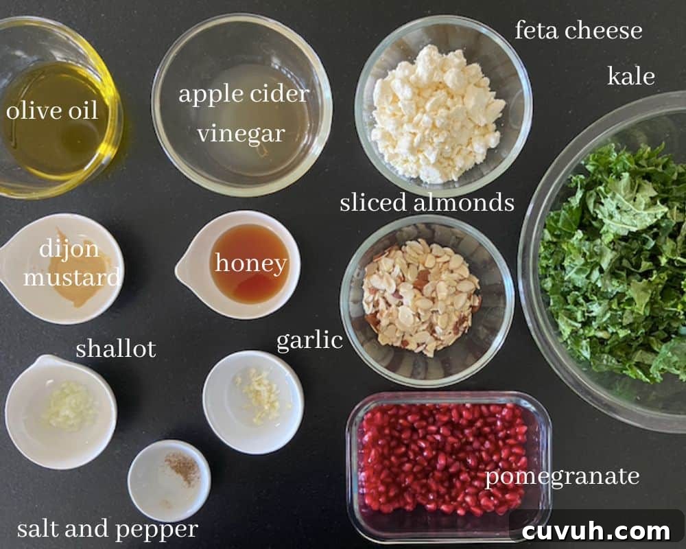 Winter Kale and Pomegranate Salad with Citrus Vinaigrette 3 kale pomegranate salad with text on black countertop