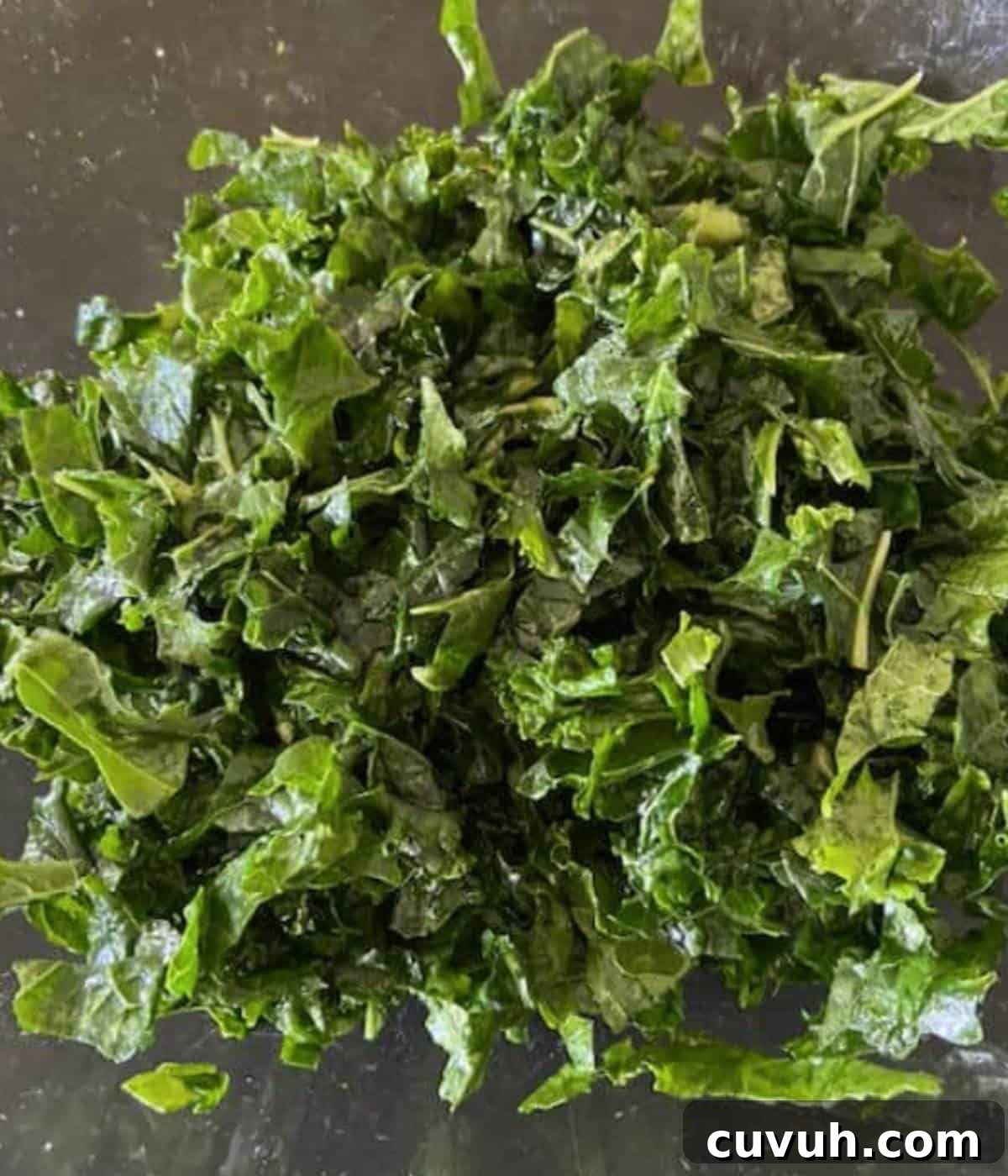 Winter Kale and Pomegranate Salad with Citrus Vinaigrette 4 Massaged kale in bowl.