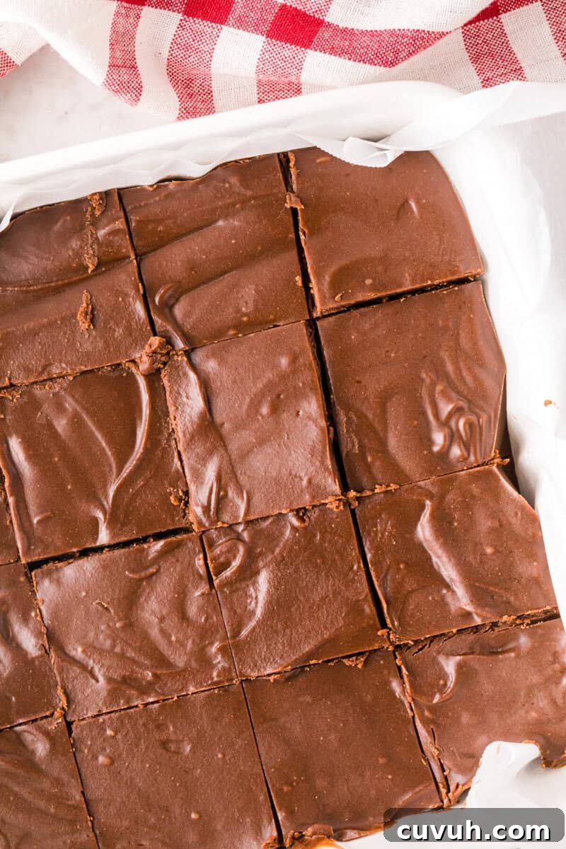 2 Ingredient Fudge sliced into squares in the dish.