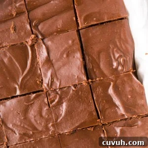 2 Ingredient Fudge