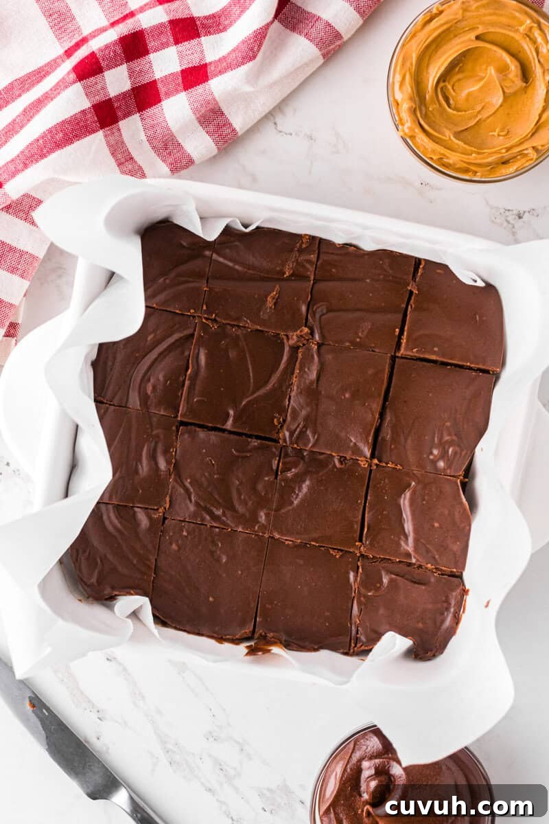 2 ingredient fudge sliced in the dish.