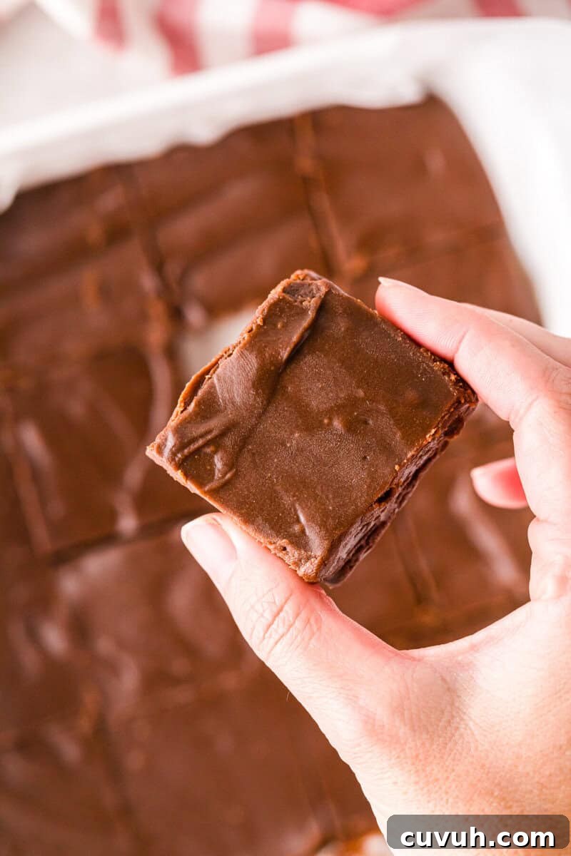 piece of the fudge in hand.