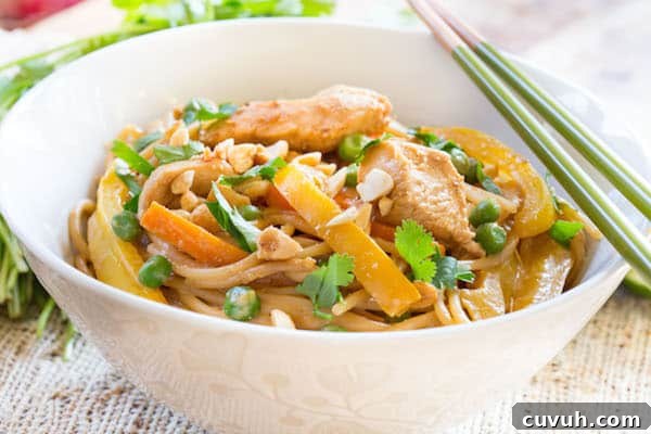 Thai Peanut Chicken Noodles