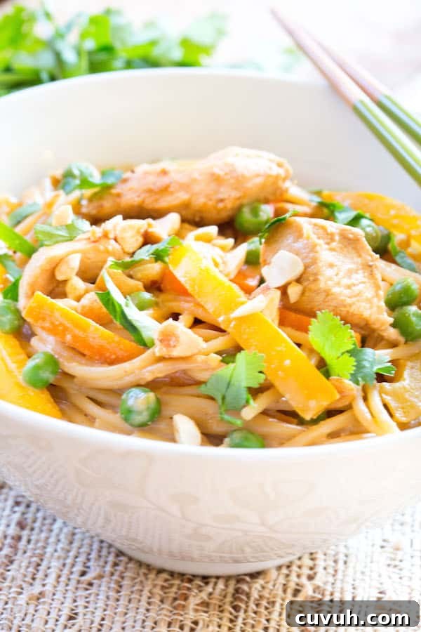 Thai Peanut Chicken Noodles