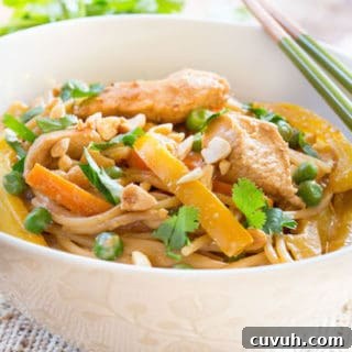 Thai Peanut Chicken Noodles