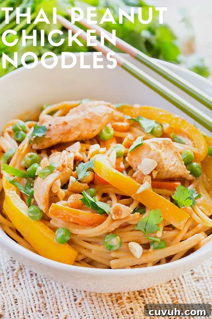 Thai Peanut Chicken Noodles