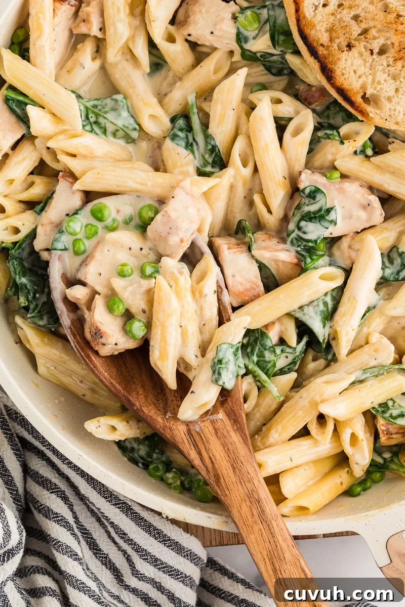 Scoop of Boursin pasta with chicken held over skillet.