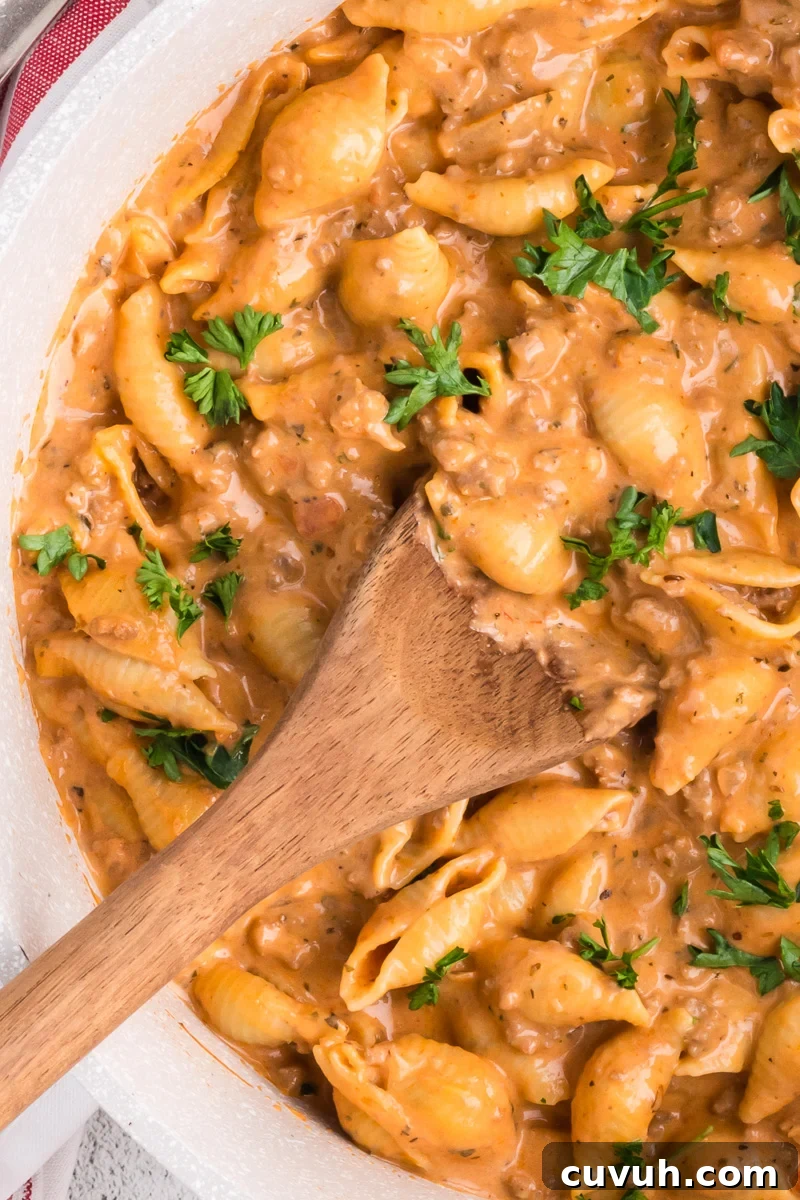 Creamy beef & shells pasta dinner in bowl ready to be served.