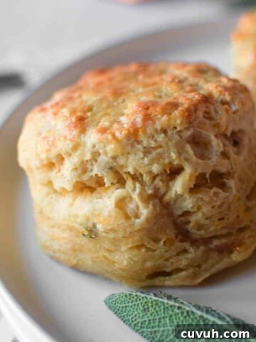 Close-up of a cheddar and sage biscuit