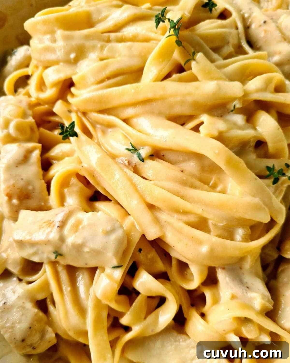 Close up of creamy chicken pasta