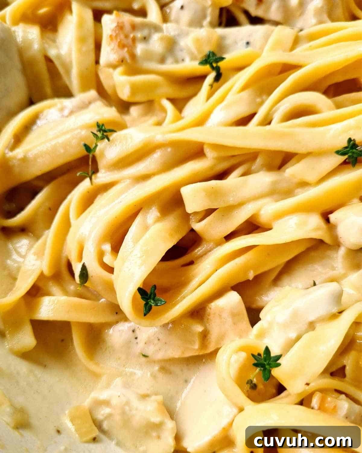 Close up of creamy sauce and pasta with chicken