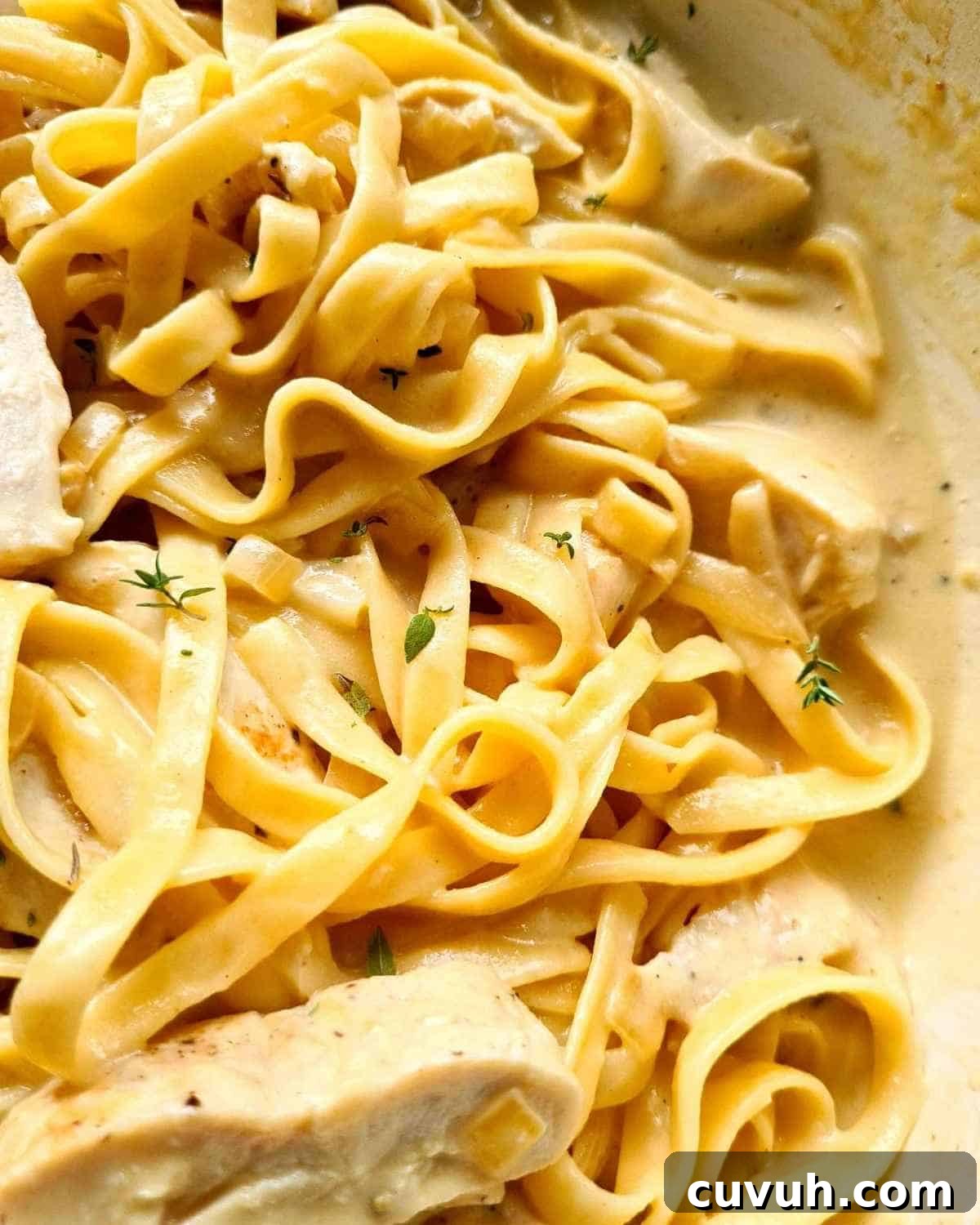 Creamy saucy pasta
