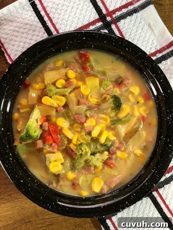 Overhead view of Vintage Farmhouse Chowder in a black bowl on white, red and blue cloth. from www.ApronFreeCooking.com