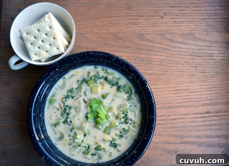 Cream of Celery Soup