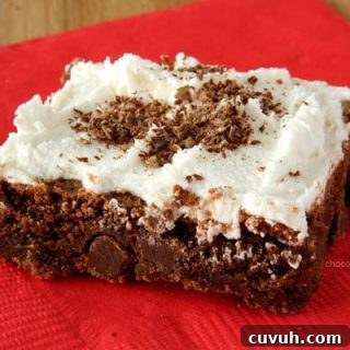 Brownie Cookie Bars
