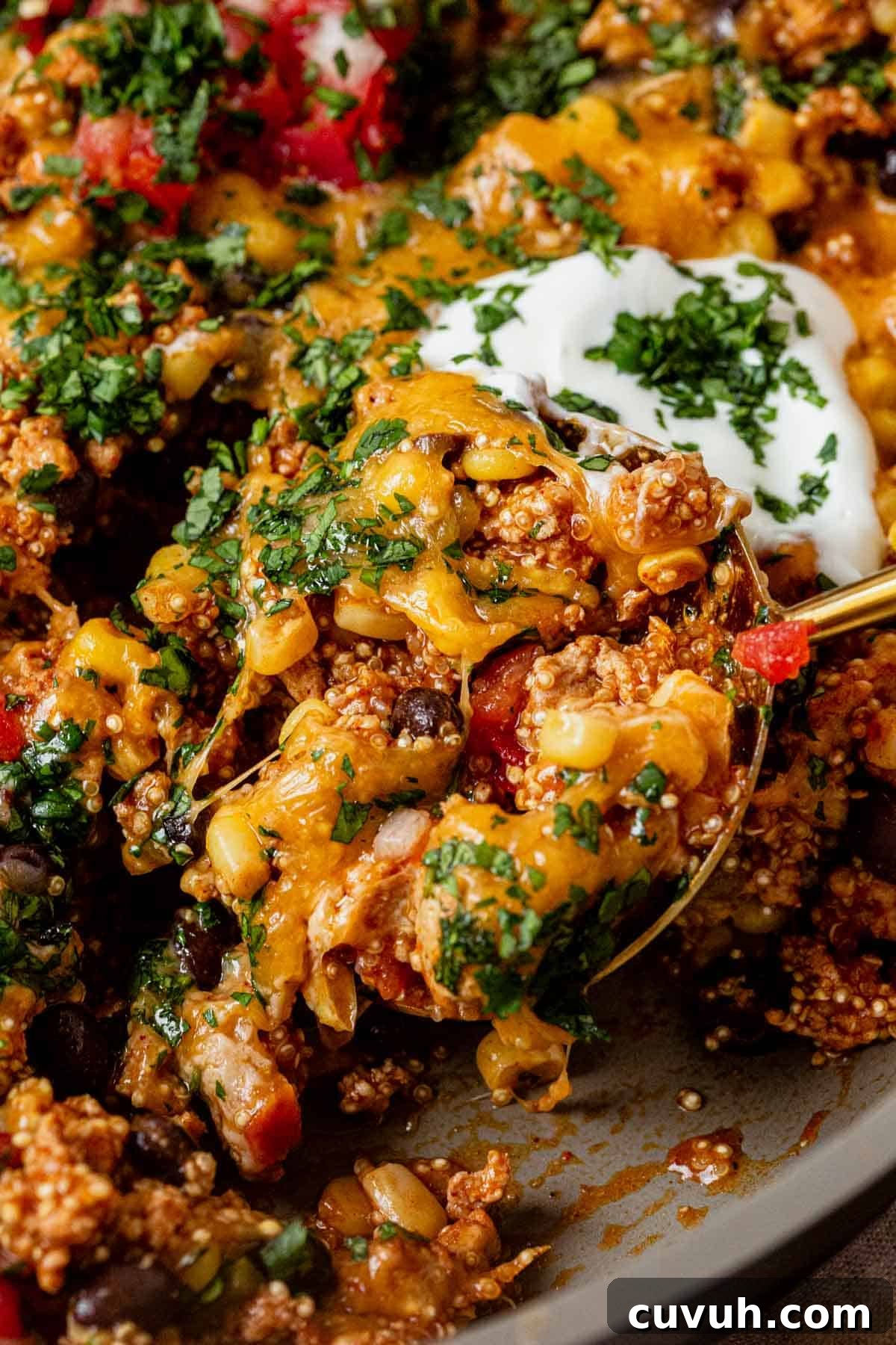a spoonful of enchilada skillet with melted cheese and cilantro on top.