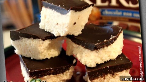 Keto Chocolate Coconut No Bake Bars