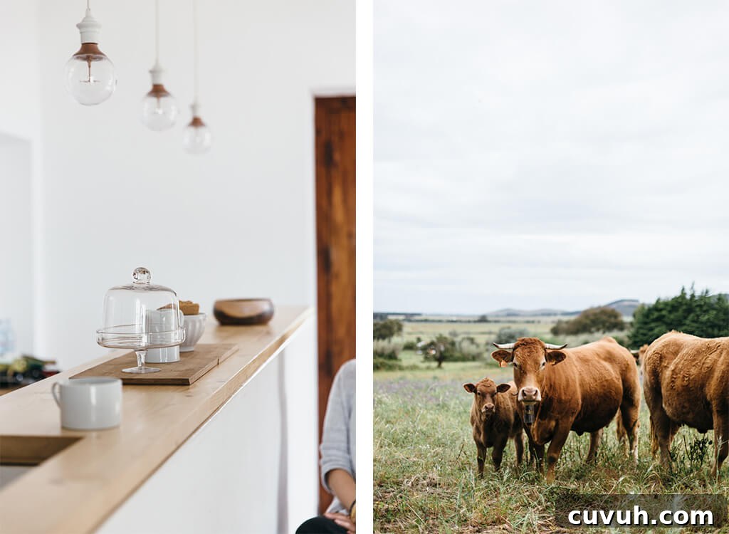 Alentejo Food & Lifestyle Photography Workshop, Portugal 5 Food & Lifestyle Photography Workshop: Alentejo, Portugal