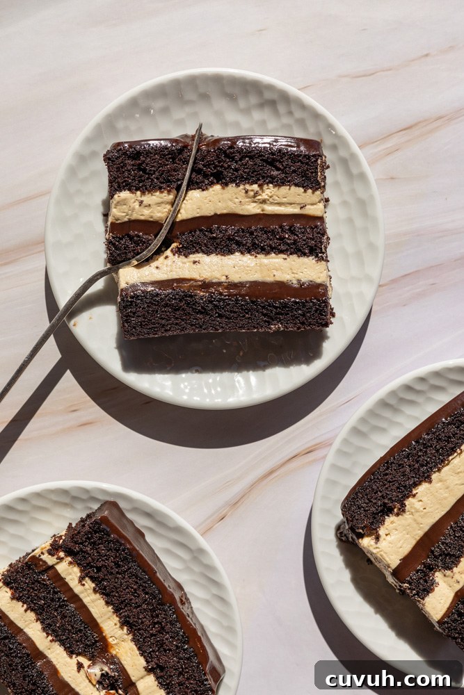 Fudgy Chocolate and Peanut Butter Cake Recipe That Melts in Your Mouth 2 Fudgy Chocolate Peanut Butter Cake