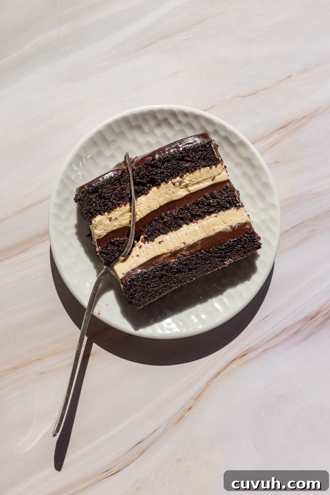 Fudgy Chocolate and Peanut Butter Cake Recipe That Melts in Your Mouth 11 Fudgy Chocolate Peanut Butter Cake