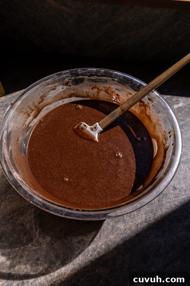 Fudgy Chocolate and Peanut Butter Cake Recipe That Melts in Your Mouth 4 Chocolate cake batter