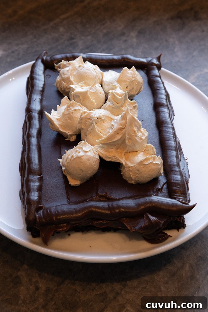 Fudgy Chocolate and Peanut Butter Cake Recipe That Melts in Your Mouth 5 Layering the Fudgy Chocolate Peanut Butter Cake