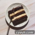 Fudgy Chocolate and Peanut Butter Cake Recipe That Melts in Your Mouth 7 Fudgy Chocolate Peanut Butter Cake