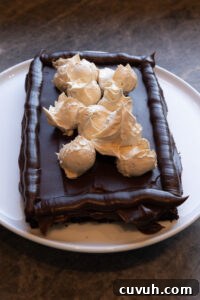 Fudgy Chocolate and Peanut Butter Cake Recipe That Melts in Your Mouth 10 Layering the Fudgy Chocolate Peanut Butter Cake