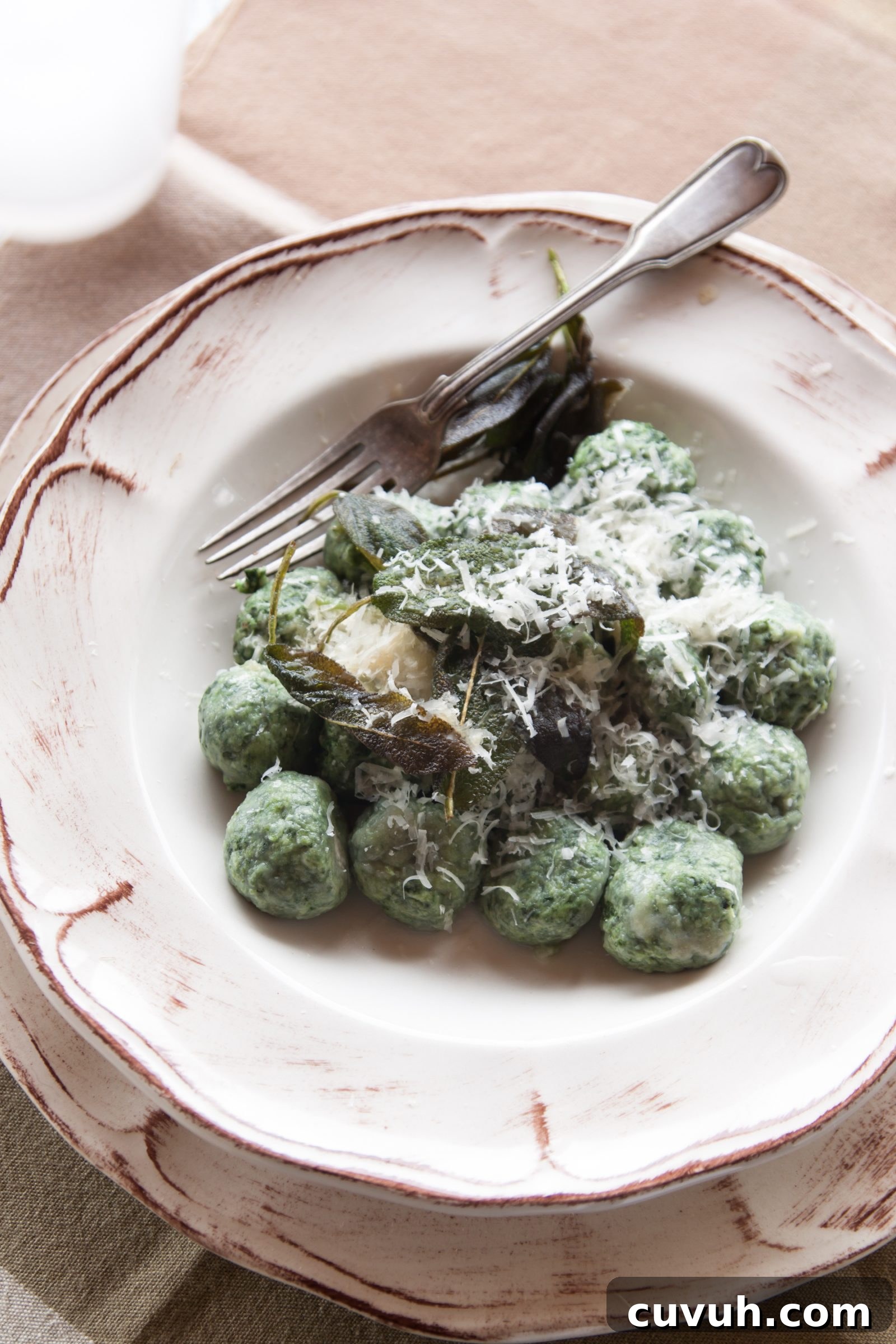 gnudi or malfatti