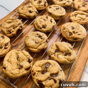 Best Chocolate Chip Cookies